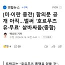 [미·이란 종전] 합의문 공개 아직…벌써 '호르무즈 유·무료' 샅바싸움(종합) 이미지