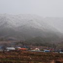 소야리