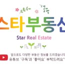 스타부동산 공인중개사사무소 이미지