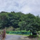 물건가든민박 이미지