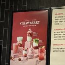 272-1005 | 카페 생딸기주스 모음(폴바셋, 엔제리너스, 투썸, 바나프레소)