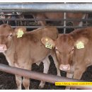 지당목장 이미지