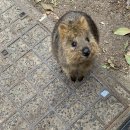 허리업