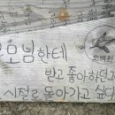 소곱에