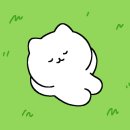 (주) 쥬엔 이미지