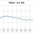 백화춘 이미지