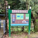 266 | 남양주바베큐 숲266 셀프바베큐장 방갈로 후기