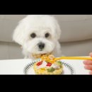 여기엇댕 이미지