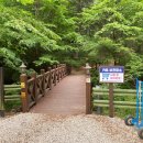 구봉산 어사길 | 109. 덕유산 자연휴양림 106 - 280쉘터 &amp; 덕유산 맛집