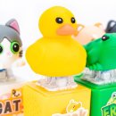 도로시& 이미지