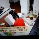 하이마리 네이버블로그