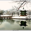 강산