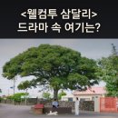 개삼경로당 이미지
