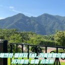 동강수산장어 이미지