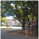 요촌1어린이공원 이미지