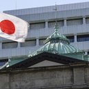 은행청과 이미지