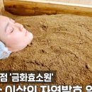 금화효소원 네이버블로그