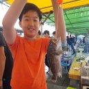 훼미리호좌대낚시터 이미지