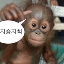 파란 노래연습장 이미지