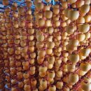 상촌농장 이미지