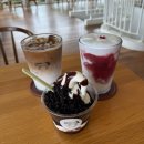 승마카부분정비 | 제주 목장 카페 '밭디(batti)' 아이와 다녀온 제주 승마 체험 솔직후기
