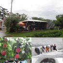 체험농장 민박 이미지