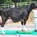 묵방목장 이미지