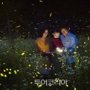 무주반딧불투어 이미지