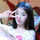 달희 Daum카페