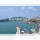 해화무 이미지