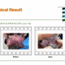 강남다온동물병원 이미지