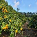 일남농장 이미지