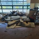 플러스82헤어 이미지