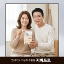 지비인터내셔날 이미지