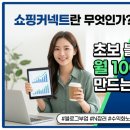 쇼핑커넥트란 무엇인가? 초보 블로거도 월 100만원 수익 만드는 현실적인 방법