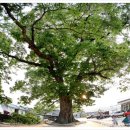 평촌리 경로당 이미지