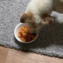 동대문엽기볶이