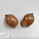 ㈜자생환경 이미지