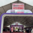 충북 영동 제13회 대한민국와인축제 in 영동 2024년 5월 25일 방문 영동 와인축제 후기 소개 및 와인 구매