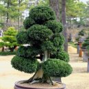 화순북면중학교 이미지