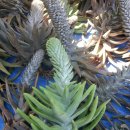 솔골농장 이미지