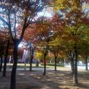 유앤아이부동산공인중개사사무소 이미지