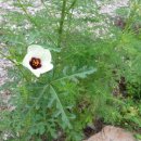 태평농장 이미지