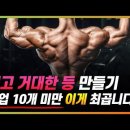 풀업으로 넓은 등과 어깨 만드려면 '이것' 필수에요 (턱걸이로 이런 자극이 ㄷㄷ) 이미지