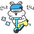 스코넬리