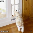 요기펫 높이조절 베란다 펫도어 고양이 화장실 냄새차단 후기