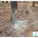 진양목욕탕 이미지