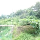 구암동281 이미지