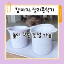 냠냠 | 강아지 실리콘식기 높낮이 조절 가능한 마이플러피 착착세트 냠냠매트 내돈내산 후기