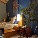 돌담에 꽃 머무는 집(Doldam B&B) | 토람부부 제주여행기 2일~3.5일차 (포근숙소 돌담에 꽃 머무는집)